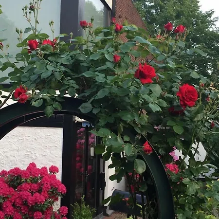 Am Hallenbad Garni 3* ראטינגן